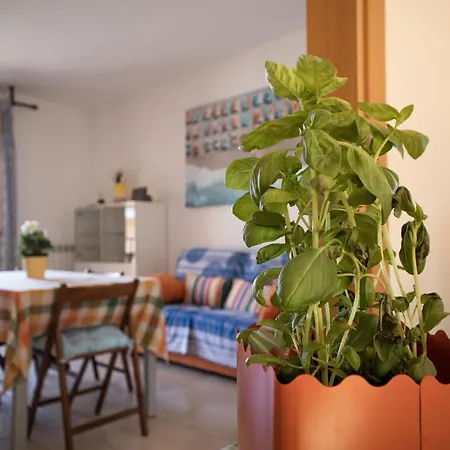Sogno Di Mare Apartment